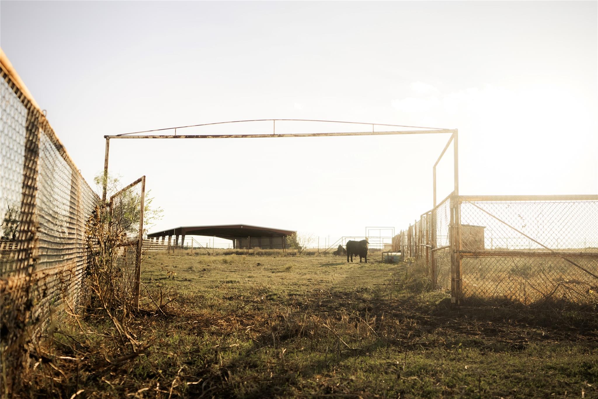 247 E Fm 581 Highway Lometa TX 76853