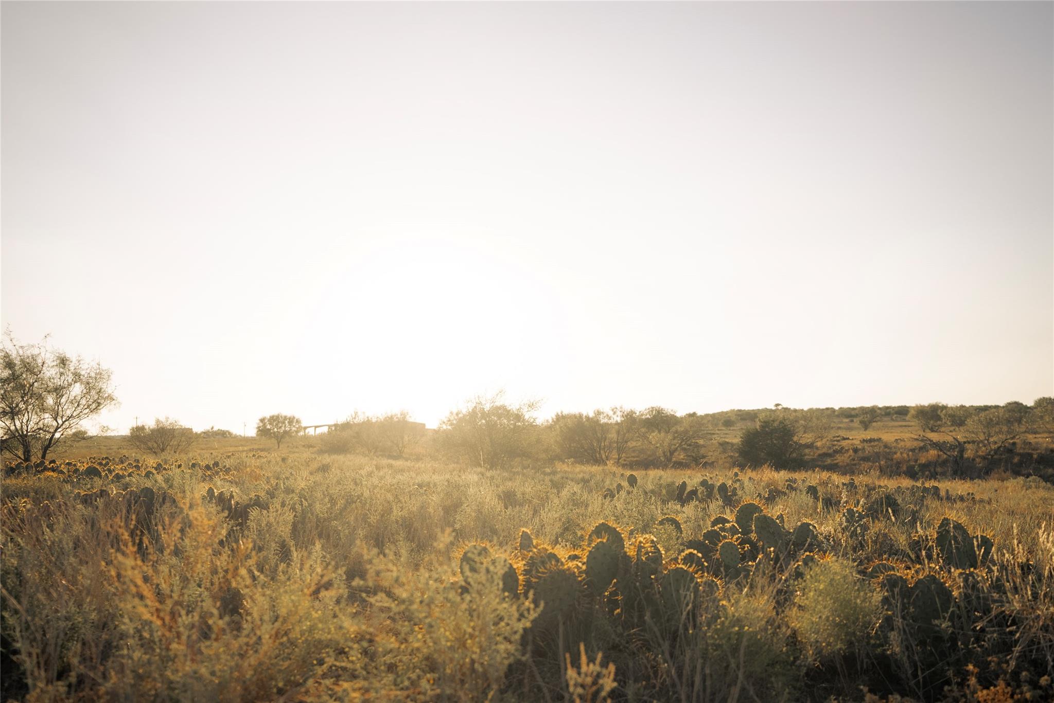 247 E Fm 581 Highway Lometa TX 76853
