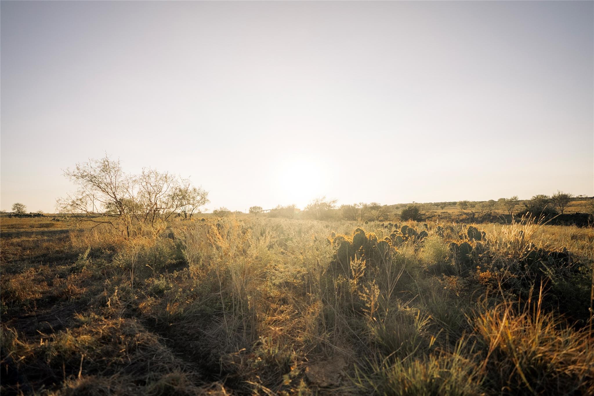 247 E Fm 581 Highway Lometa TX 76853