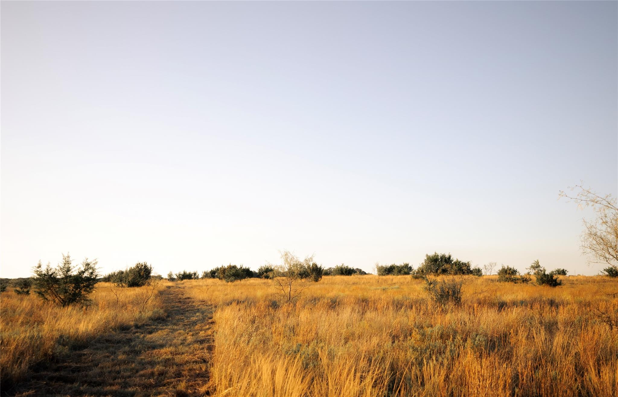 247 E Fm 581 Highway Lometa TX 76853