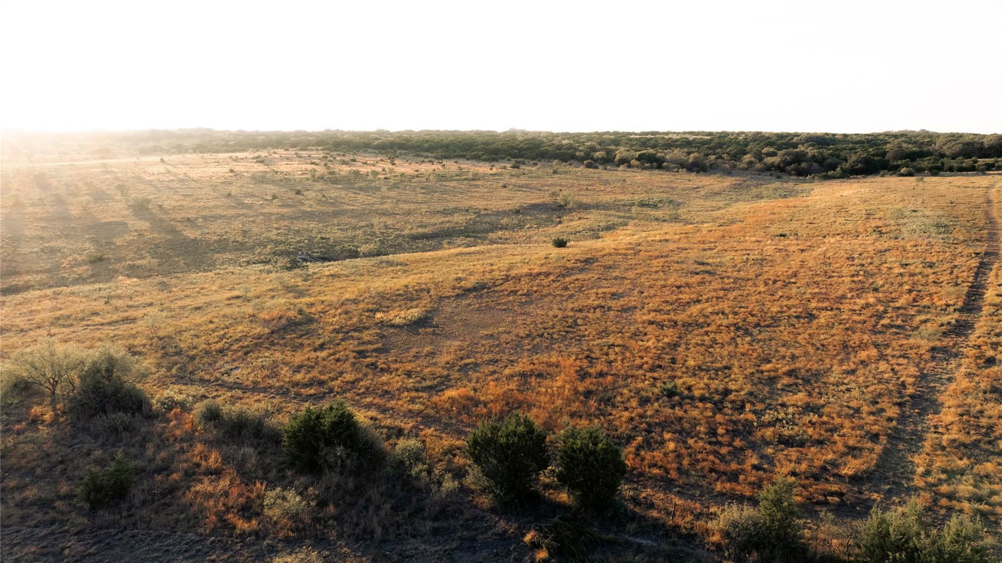 247 E Fm 581 Highway Lometa TX 76853