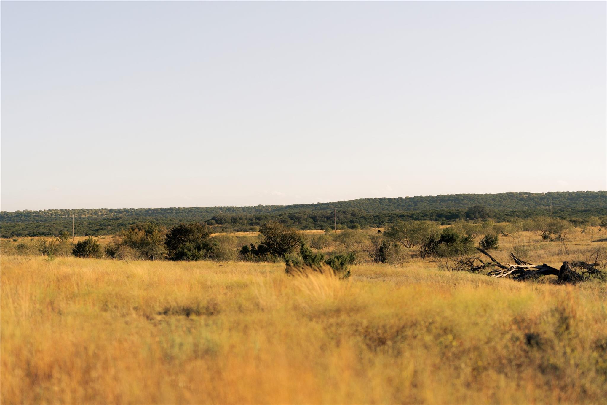 247 E Fm 581 Highway Lometa TX 76853