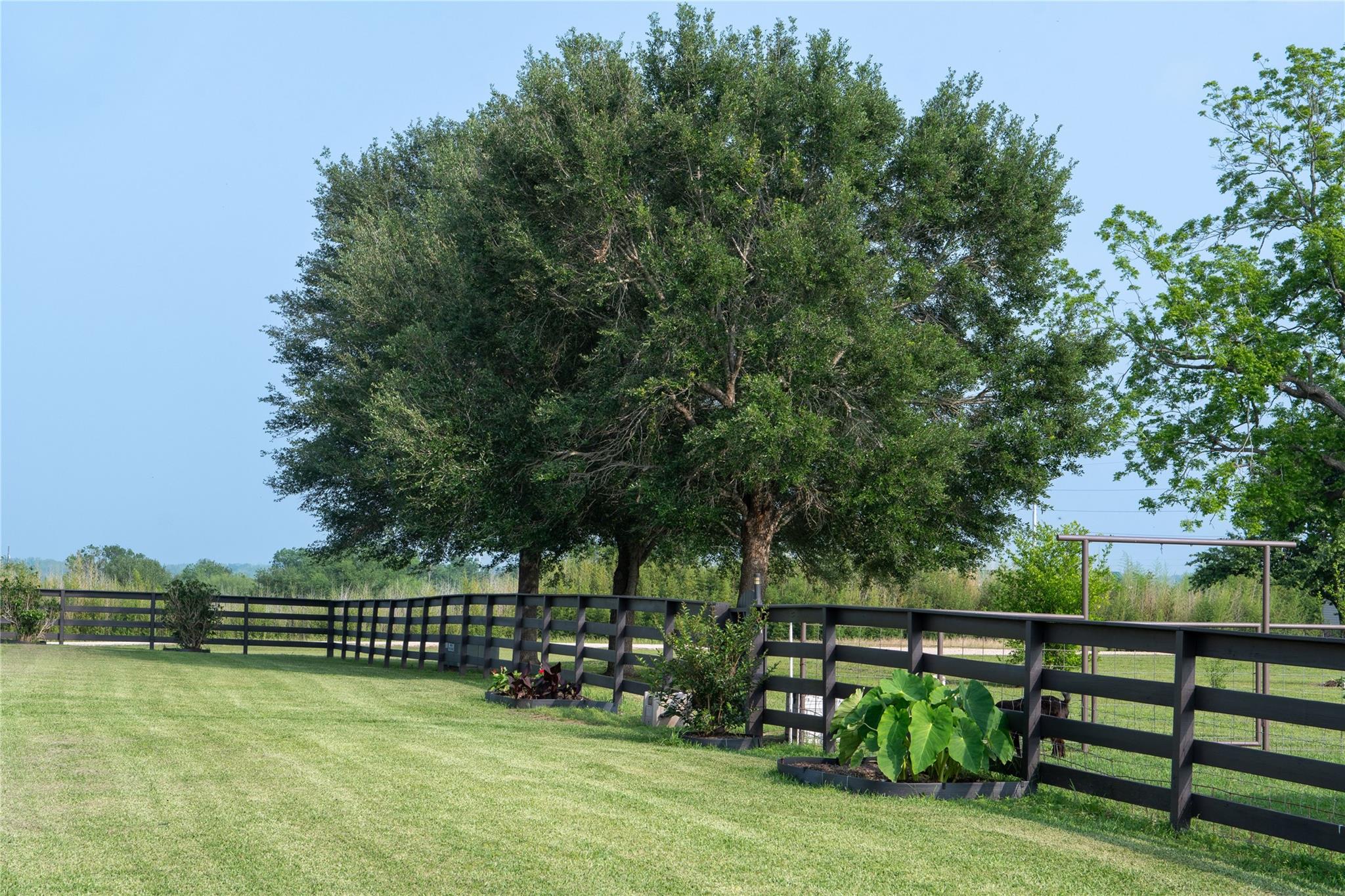 8271 Fm 529 Road Bellville TX 77418