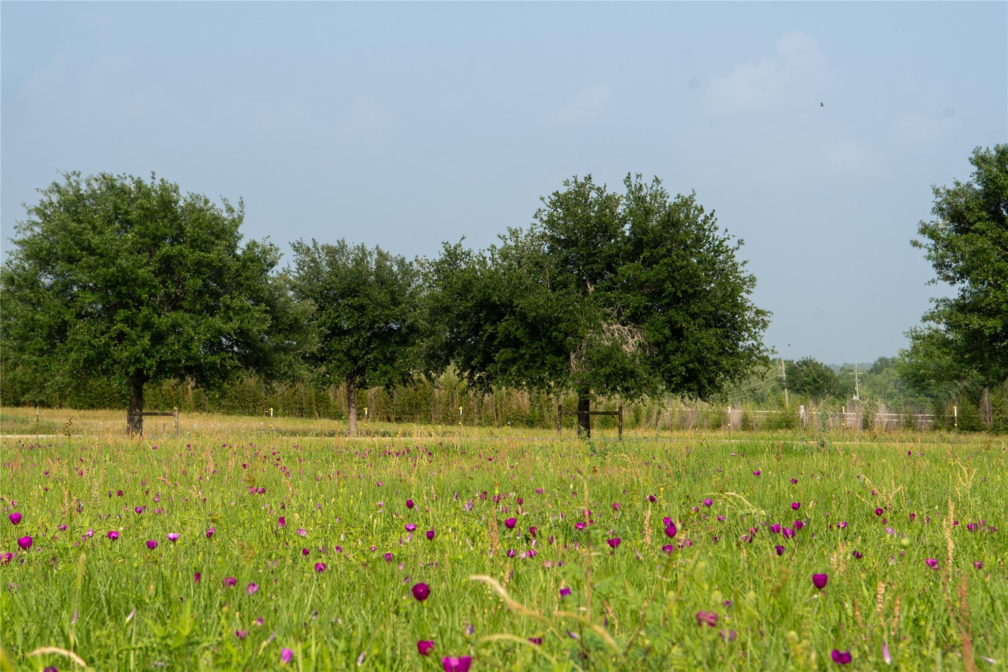 8271 Fm 529 Road Bellville TX 77418