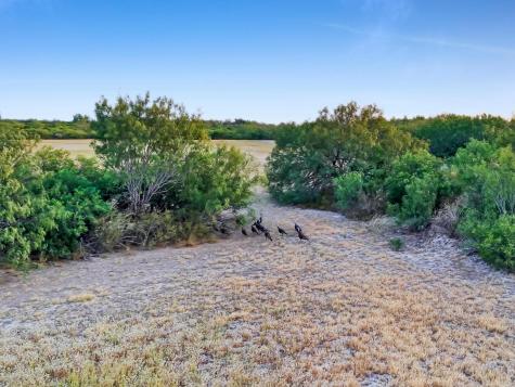Tbd Fm 1986 Crystal City TX 78872