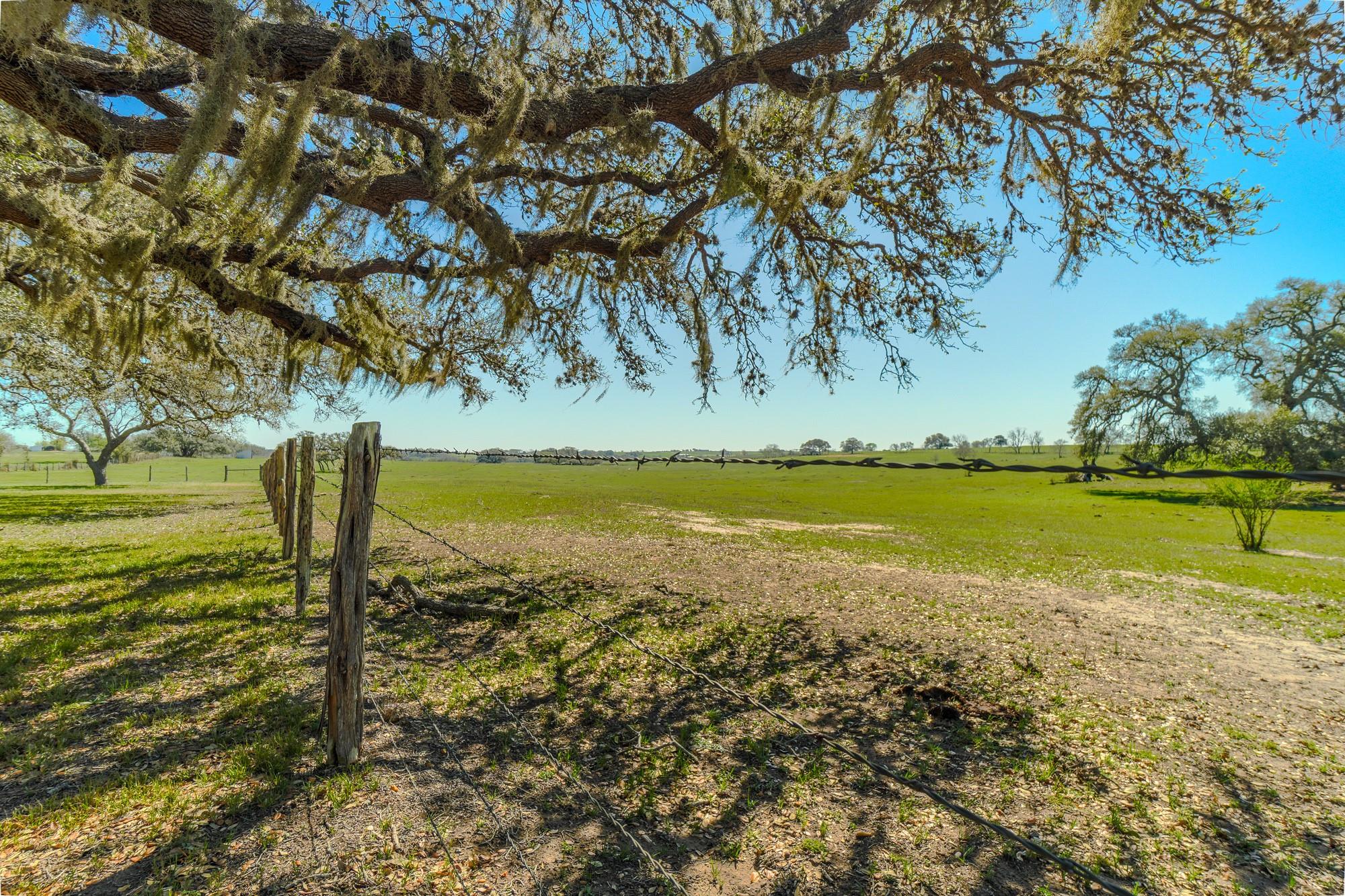 1797 County Road 261 Moulton TX 77975