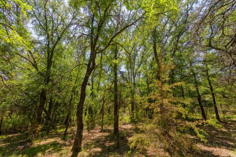 Tbd County Road 180 72 Ac Road Purmela TX 76566