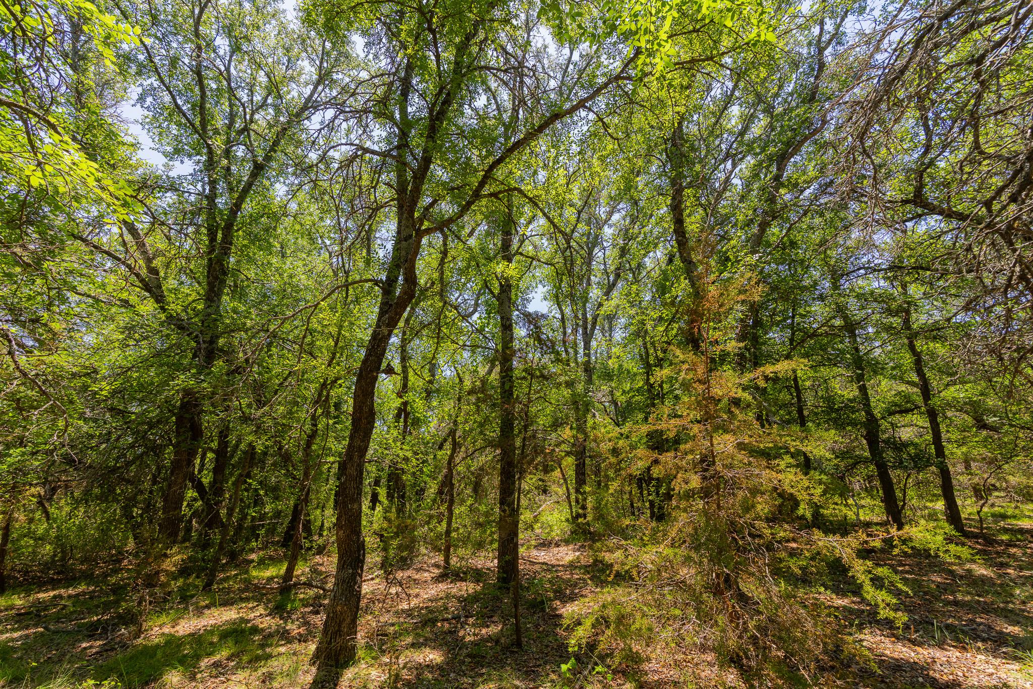 Tbd County Road 180 72 Ac Road Purmela TX 76566