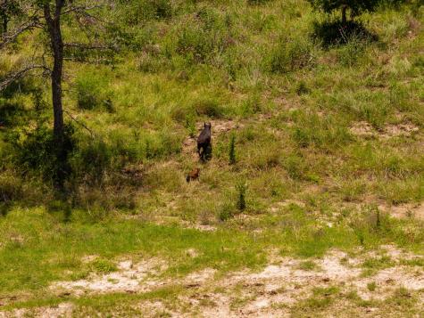 Tbd County Road 180 72 Ac Road Purmela TX 76566