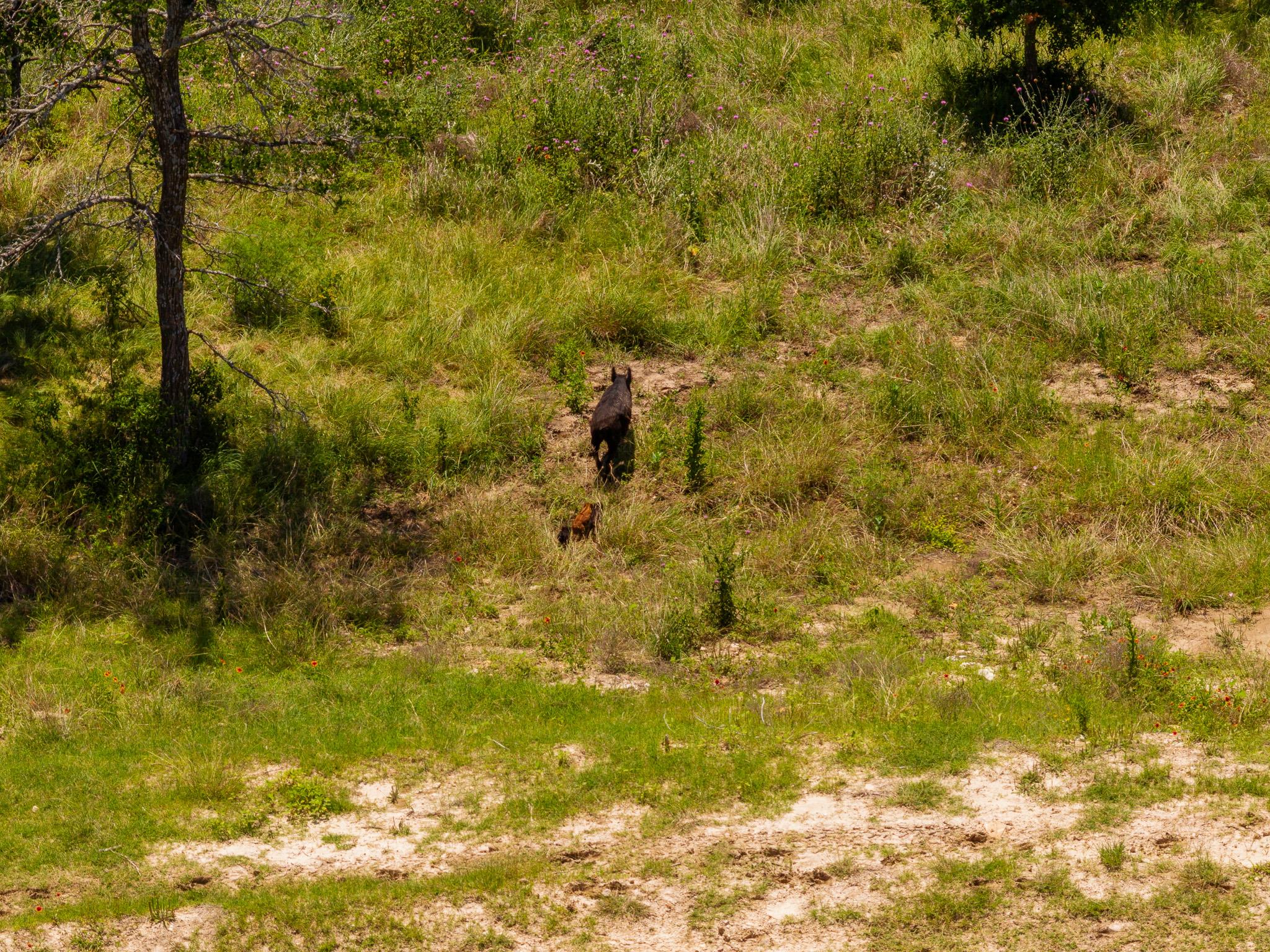 Tbd County Road 180 72 Ac Road Purmela TX 76566