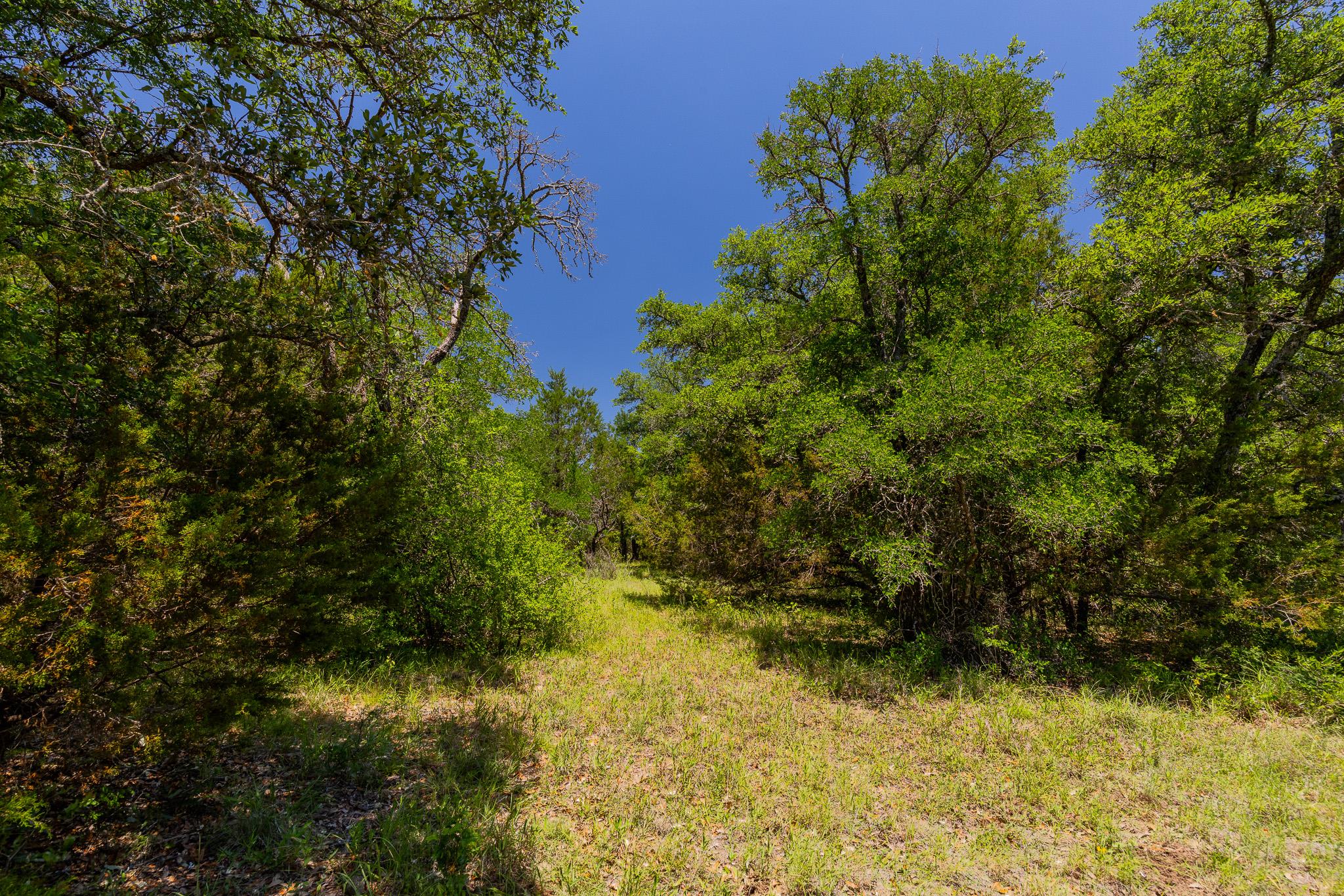 Tbd County Road 180 72 Ac Road Purmela TX 76566