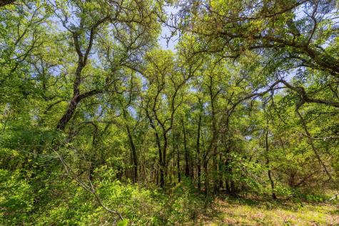 Tbd County Road 180 72 Ac Road Purmela TX 76566