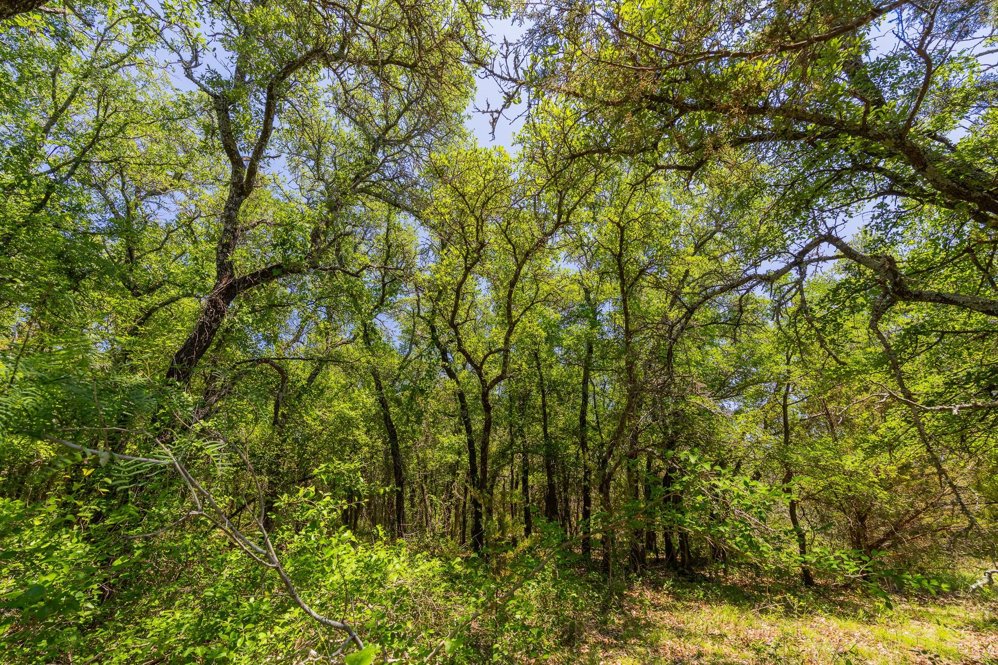 Tbd County Road 180 72 Ac Road Purmela TX 76566