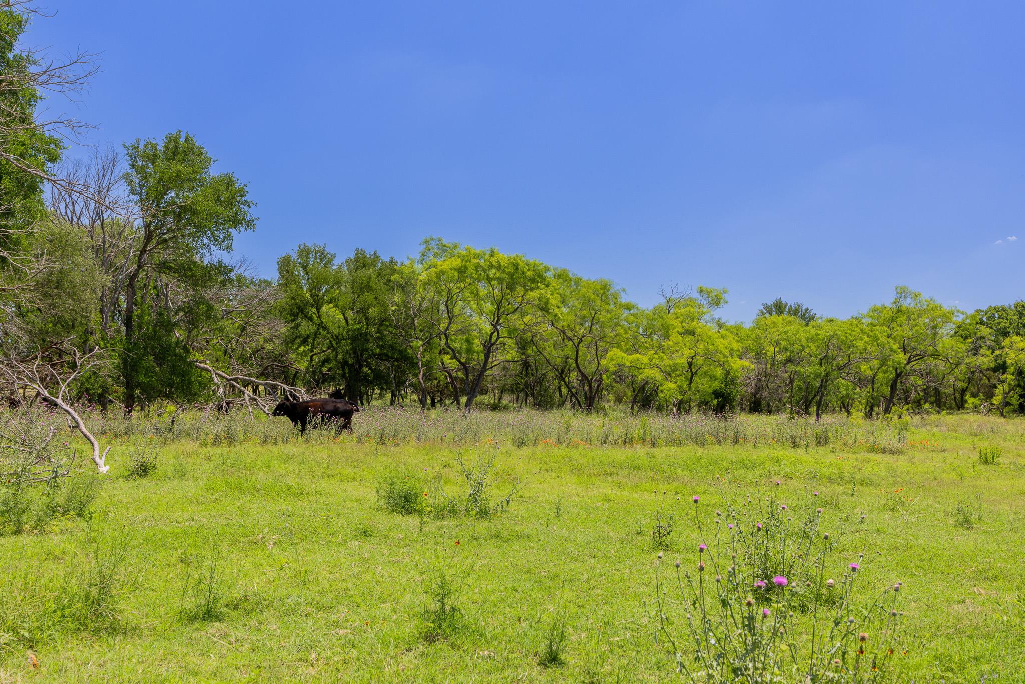 Tbd County Road 180 72 Ac Road Purmela TX 76566
