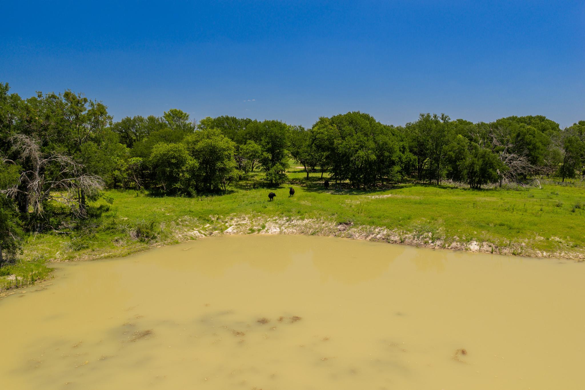 Tbd County Road 180 72 Ac Road Purmela TX 76566