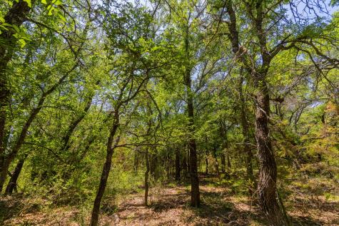 Tbd County Road 180 72 Ac Road Purmela TX 76566