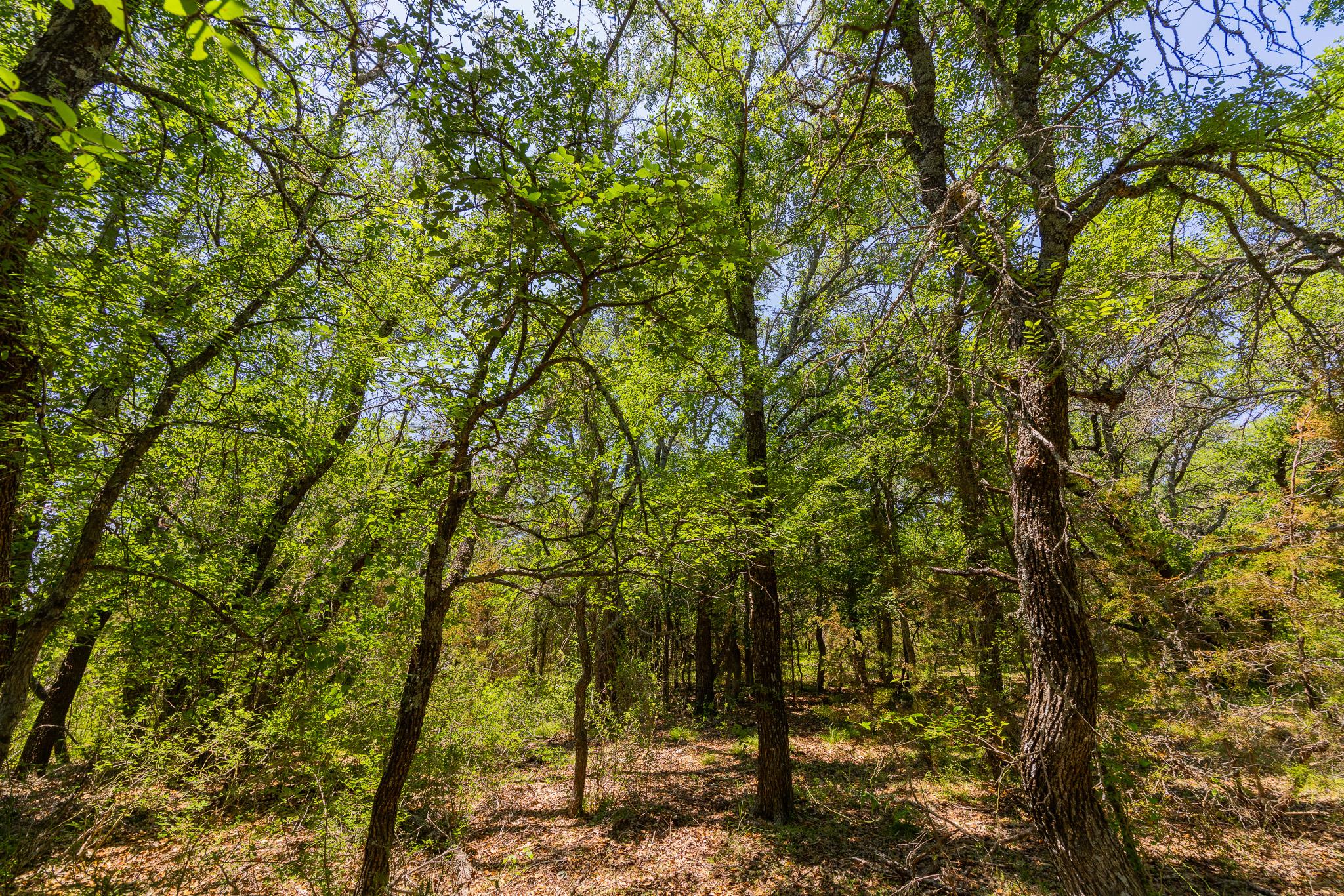 Tbd County Road 180 72 Ac Road Purmela TX 76566
