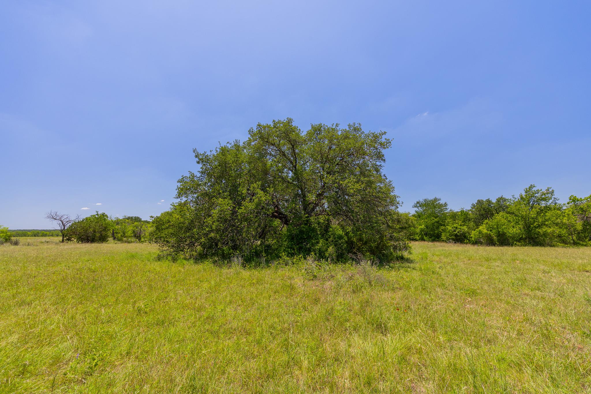 Tbd County Road 180 72 Ac Road Purmela TX 76566