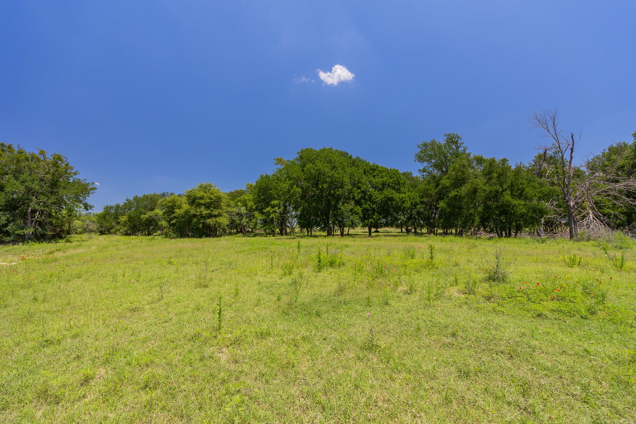 Tbd County Road 180 72 Ac Road Purmela TX 76566