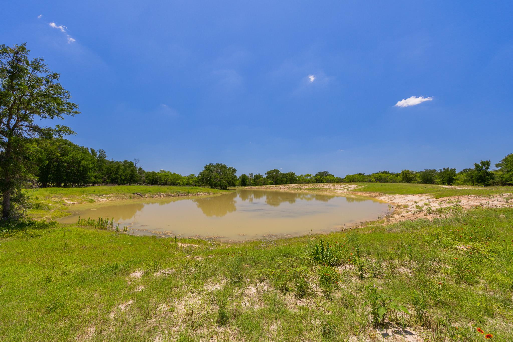 Tbd County Road 180 72 Ac Road Purmela TX 76566