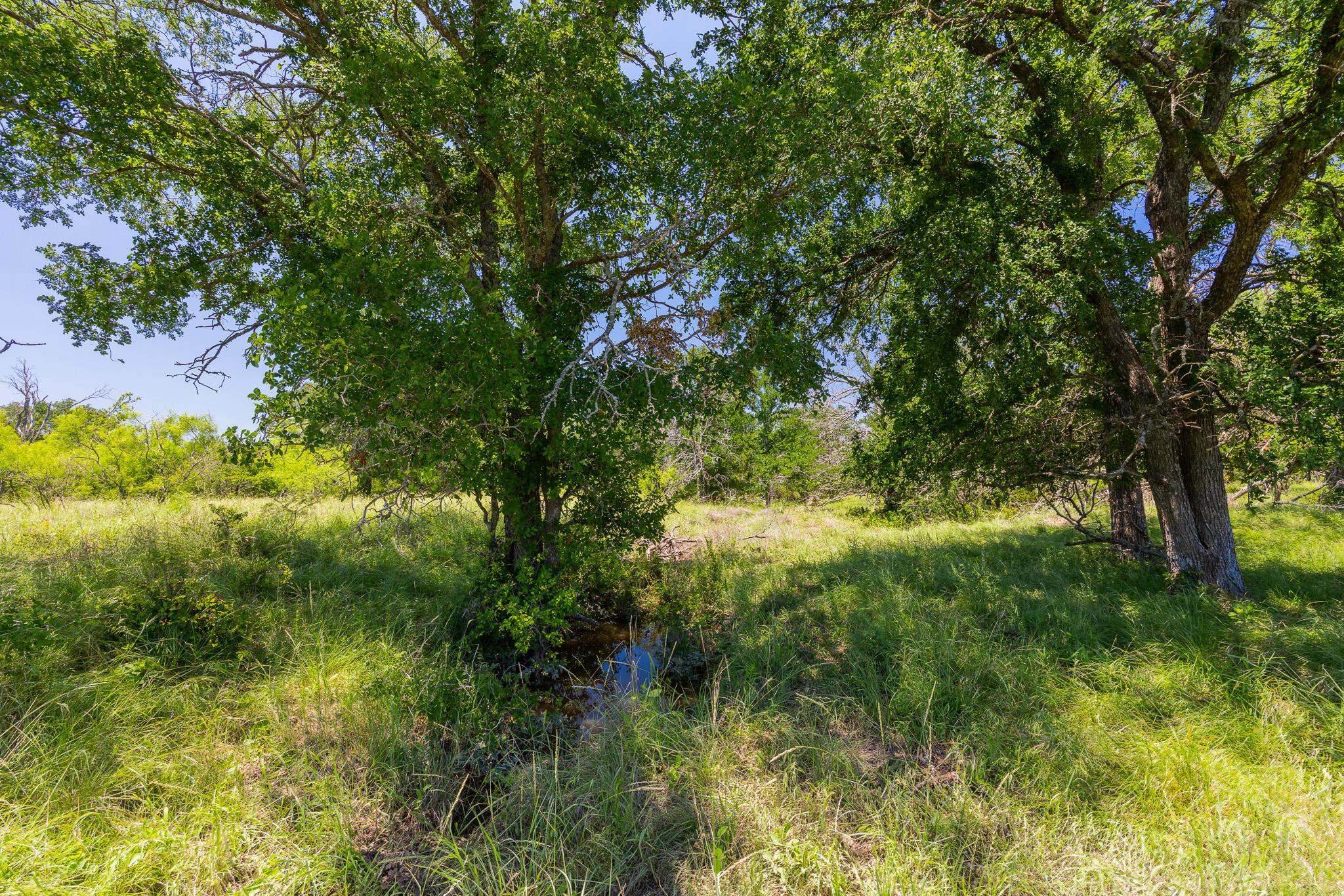 Tbd County Road 180 72 Ac Road Purmela TX 76566
