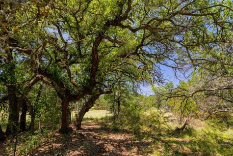 Tbd County Road 180 72 Ac Road Purmela TX 76566
