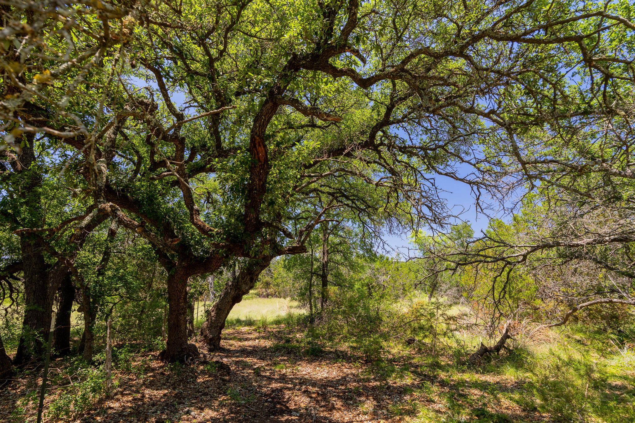 Tbd County Road 180 72 Ac Road Purmela TX 76566