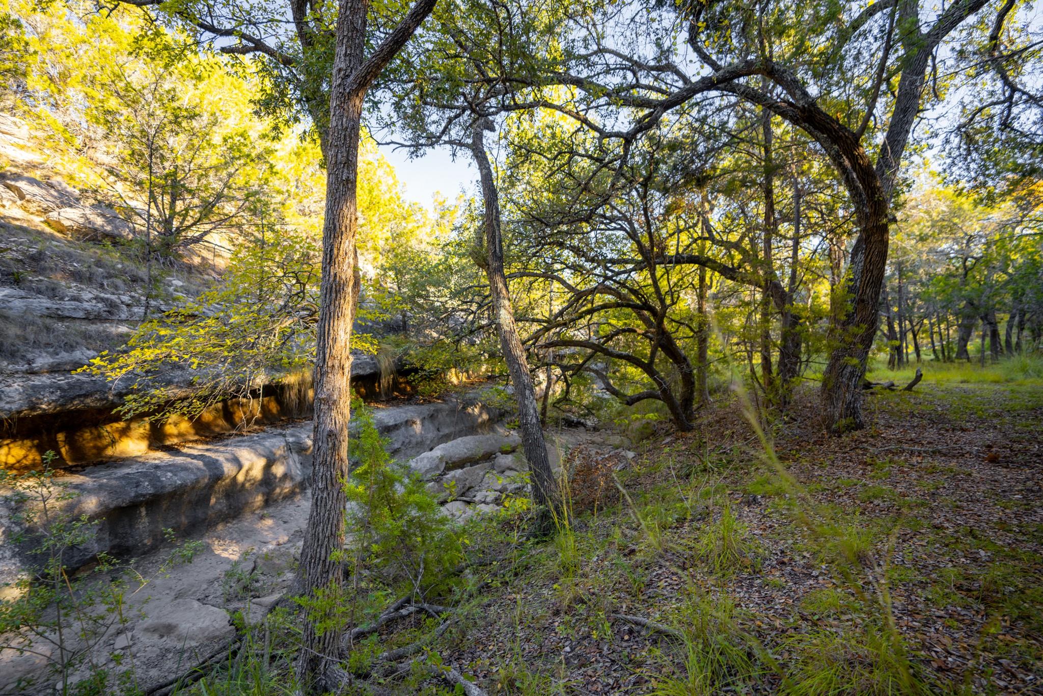 12737 Silver Creek Road Dripping Springs TX 78620