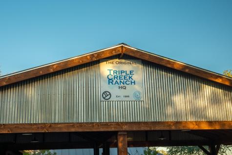 12737 Silver Creek Road Dripping Springs TX 78620