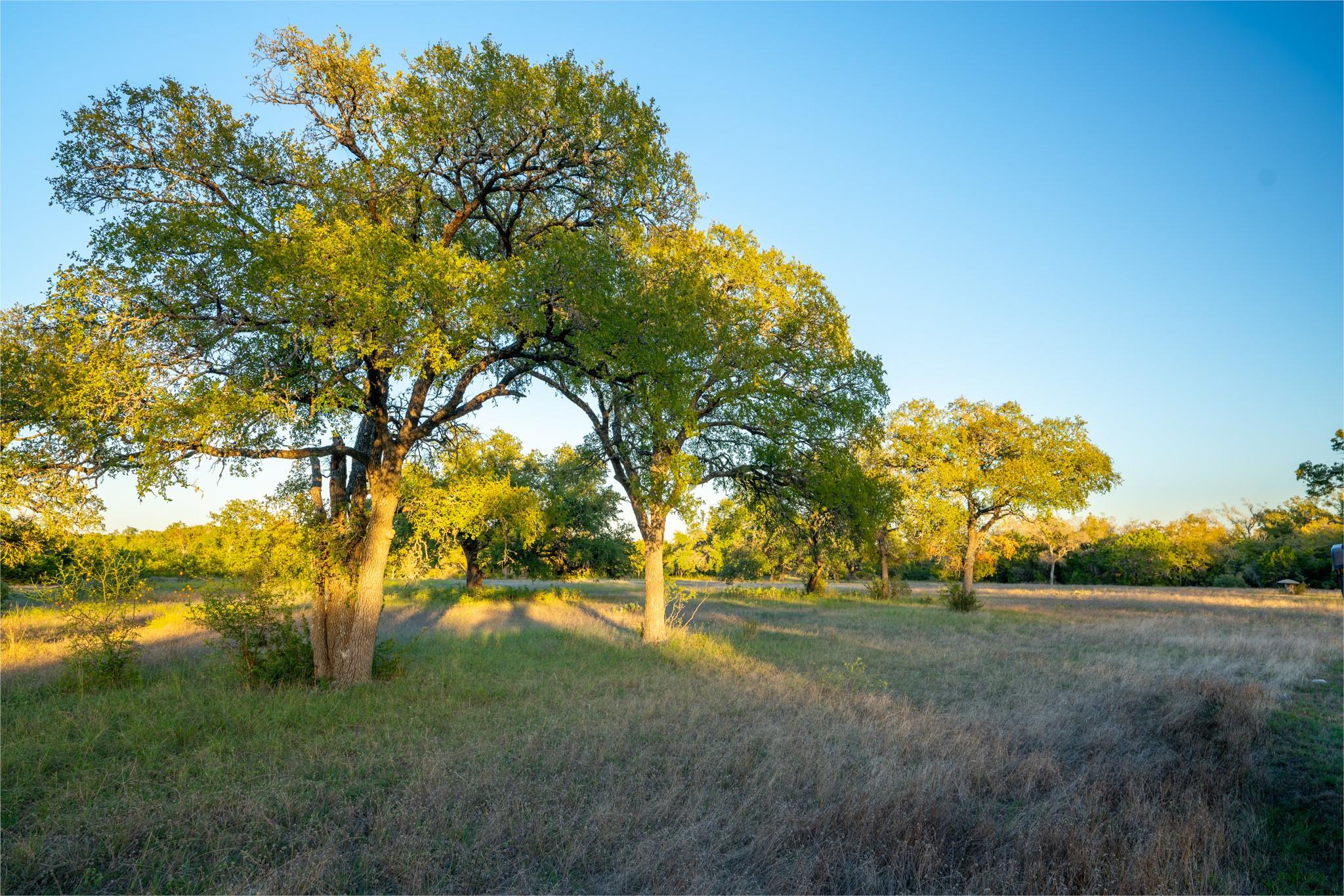 12737 Silver Creek Road Dripping Springs TX 78620