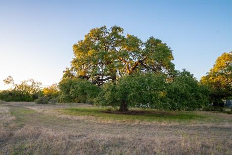 12737 Silver Creek Road Dripping Springs TX 78620