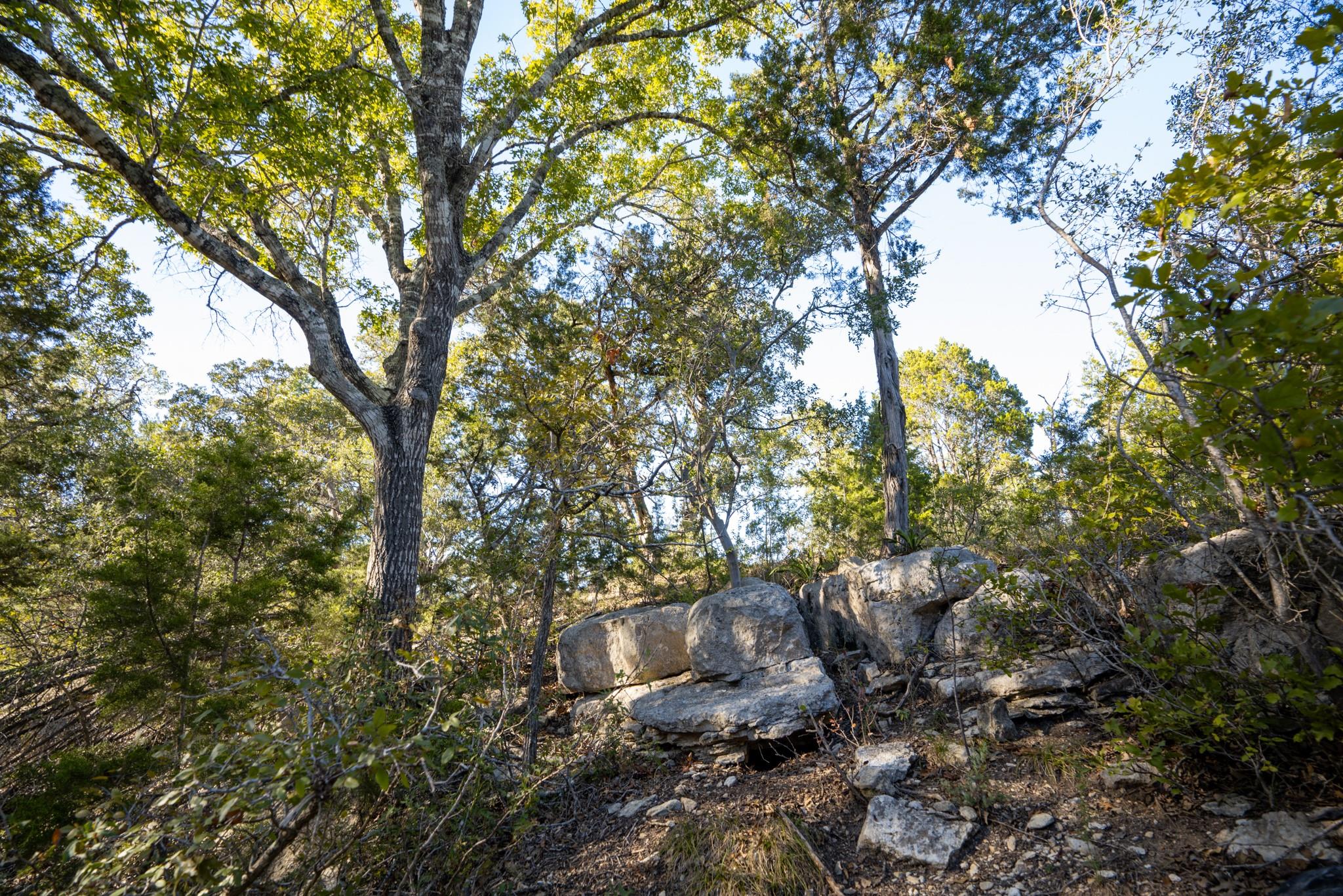 12737 Silver Creek Road Dripping Springs TX 78620