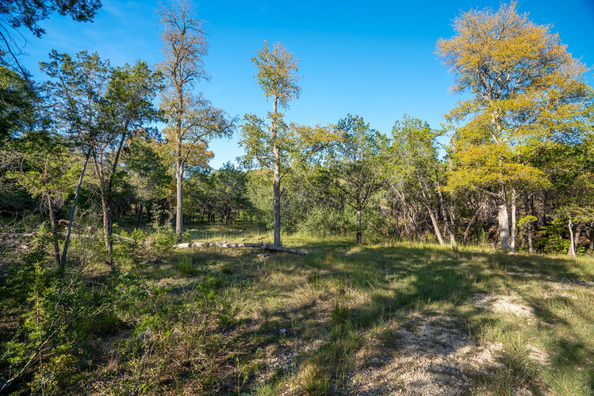 12737 Silver Creek Road Dripping Springs TX 78620