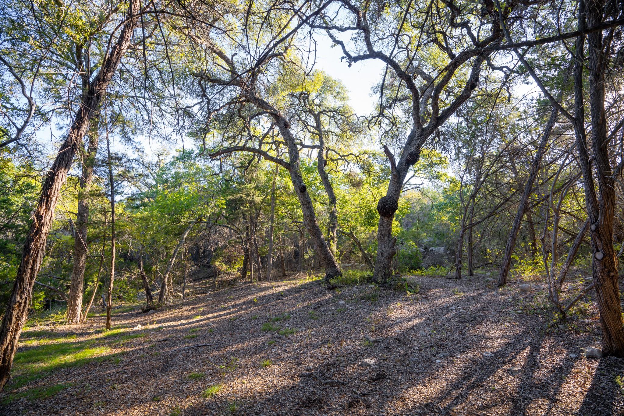 12737 Silver Creek Road Dripping Springs TX 78620