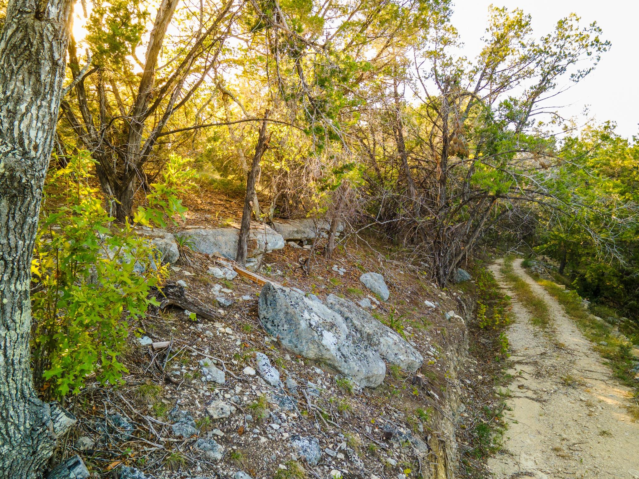 12737 Silver Creek Road Dripping Springs TX 78620