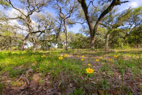 1106 N County Road 255 Garwood TX 77442