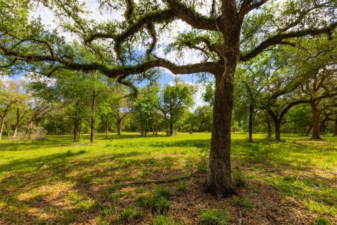 1106 N County Road 255 Garwood TX 77442