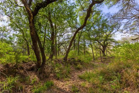 1106 N County Road 255 Garwood TX 77442