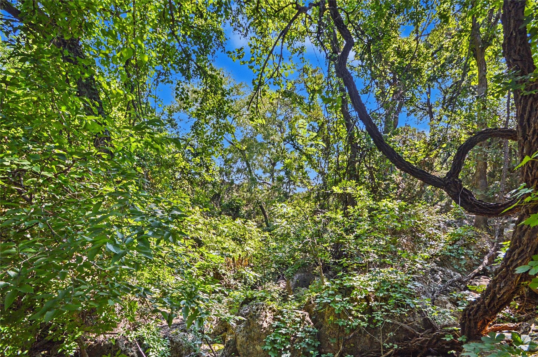 0 Cr 318 Road Goldthwaite TX 76844