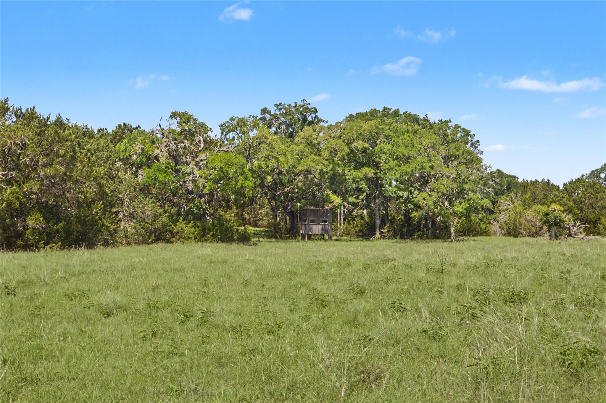 0 Cr 318 Road Goldthwaite TX 76844