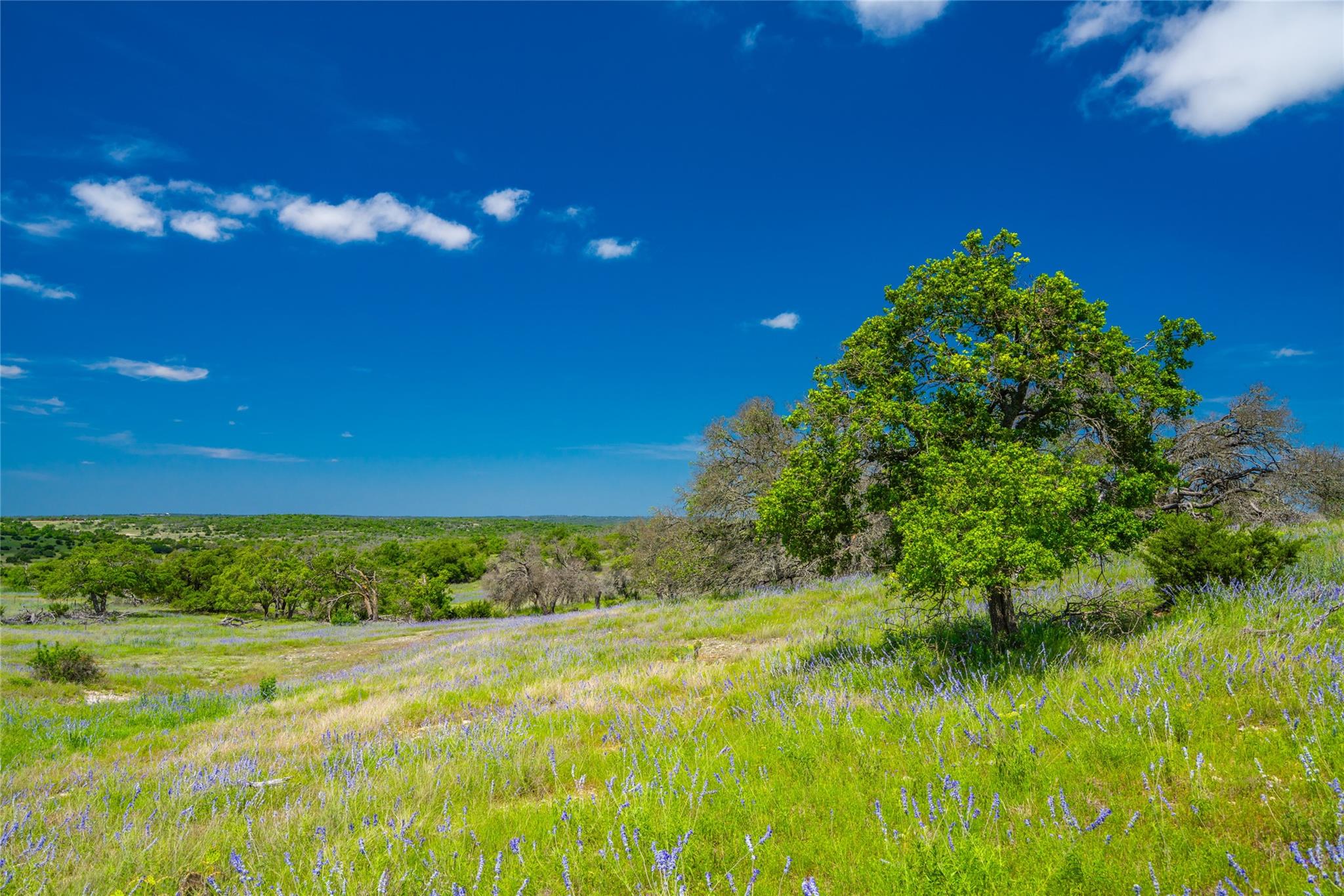 0 Jung Road Fredericksburg TX 78631