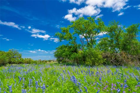 0 Jung Road Fredericksburg TX 78631