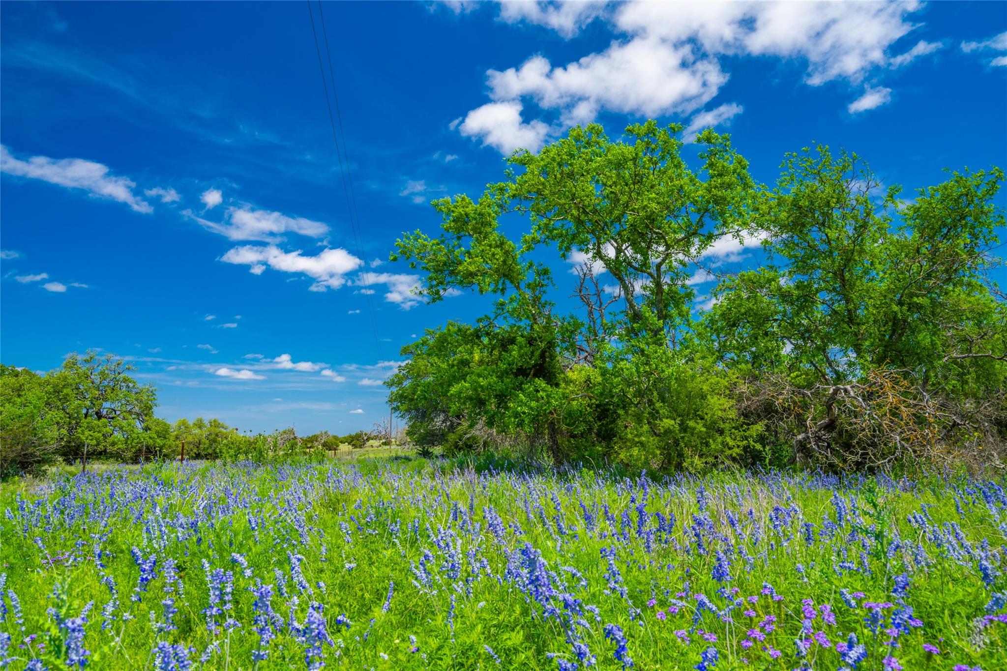 0 Jung Road Fredericksburg TX 78631