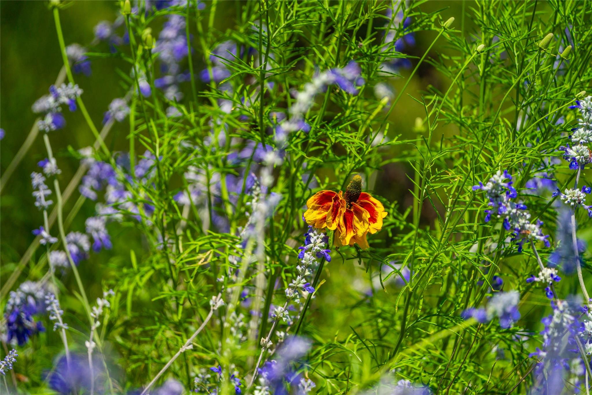 0 Jung Road Fredericksburg TX 78631