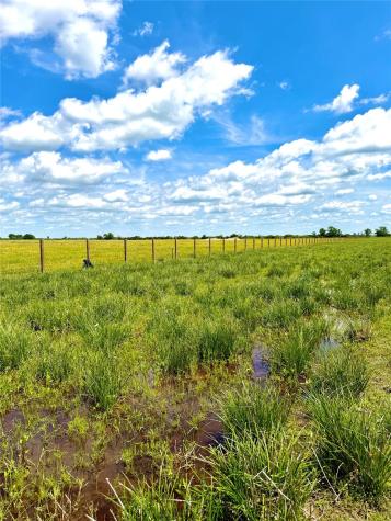 Tbd Tract 43 Mcdonald Road Eagle Lake TX 77434