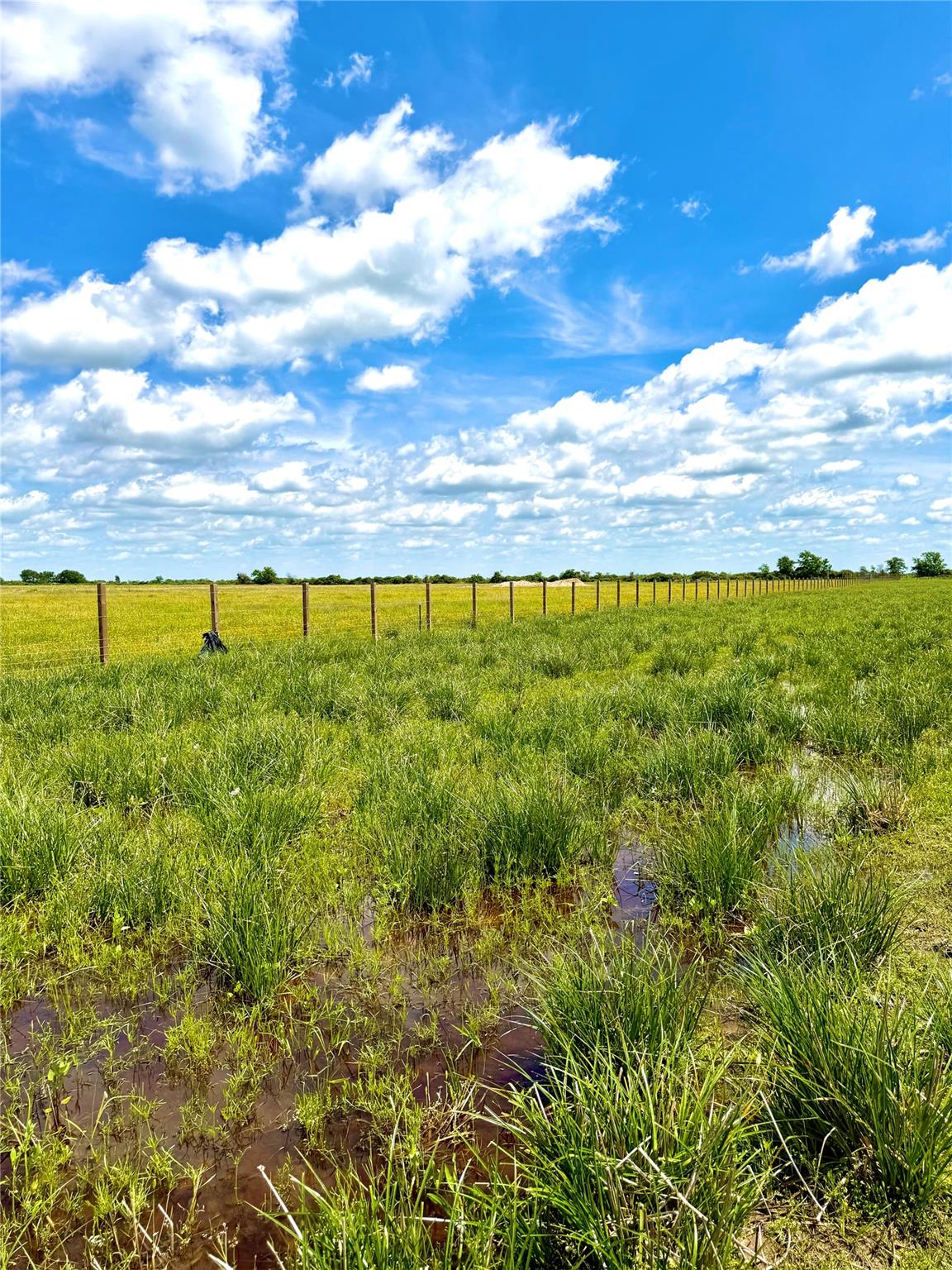 Tbd Tract 43 Mcdonald Road Eagle Lake TX 77434