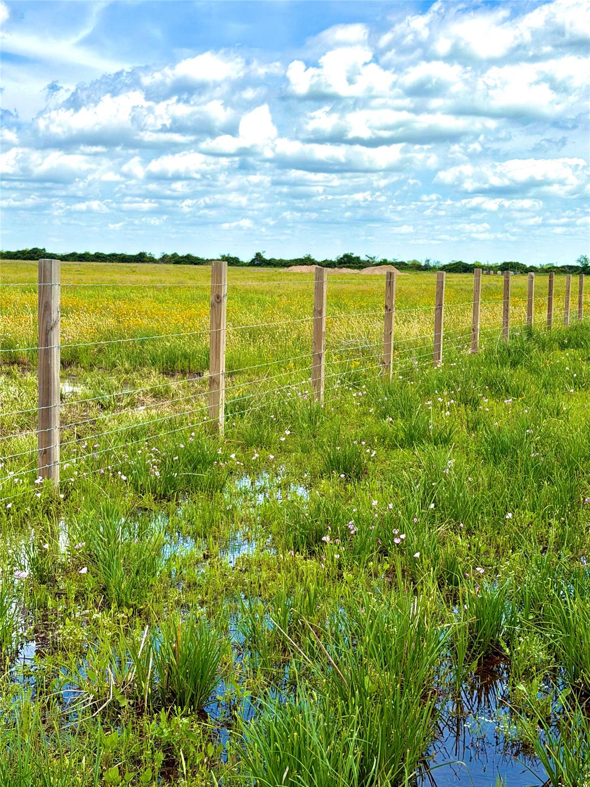 Tbd Tract 43 Mcdonald Road Eagle Lake TX 77434