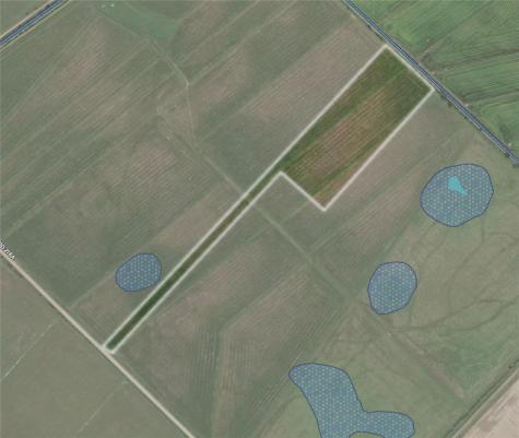Tbd Tract 43 Mcdonald Road Eagle Lake TX 77434
