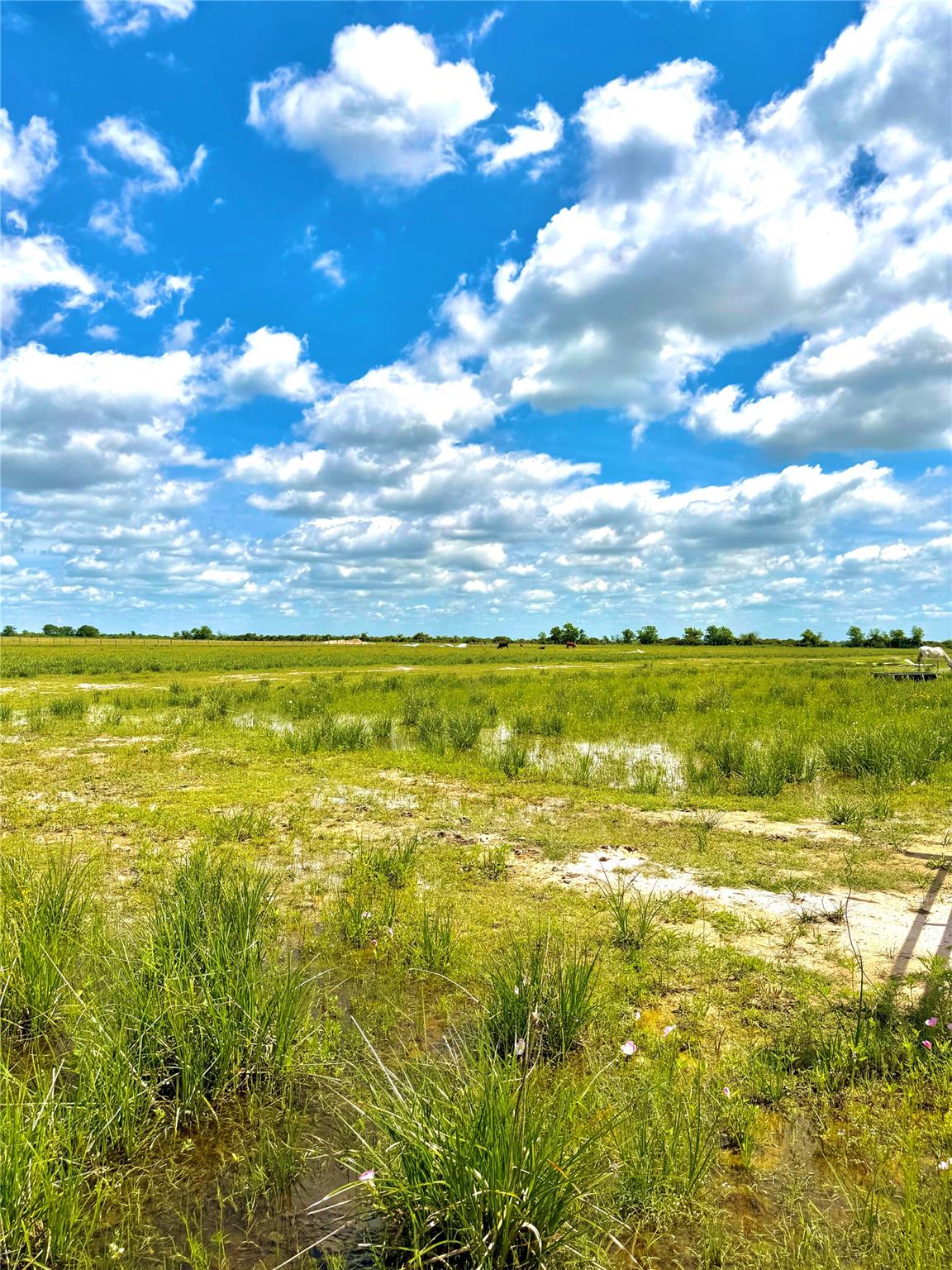 Tbd Tract 43 Mcdonald Road Eagle Lake TX 77434