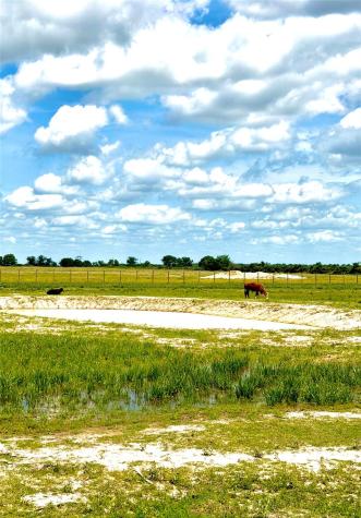 Tbd Tract 43 Mcdonald Road Eagle Lake TX 77434